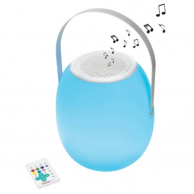 Bluetooth® Light Speaker with handle, color change
